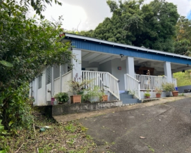 Finca /Casa-Corujo Collazo Caguas, Puerto Rico